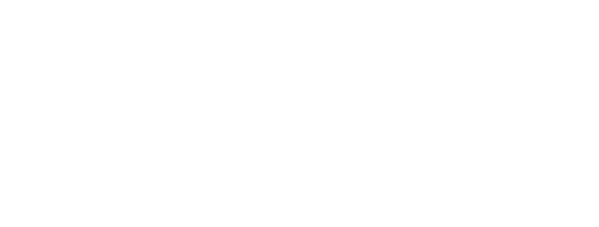 Icon Infoware Technologies logo